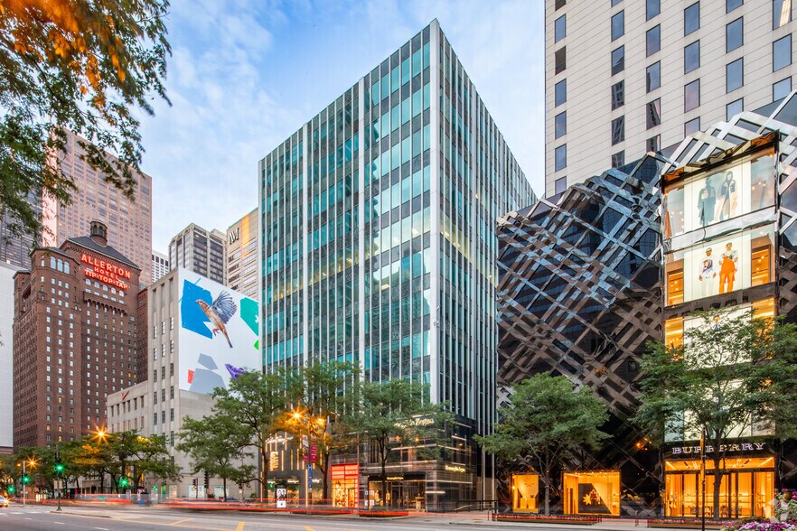 645 N Michigan Ave, Chicago, IL à louer - Photo du bâtiment - Image 2 de 5
