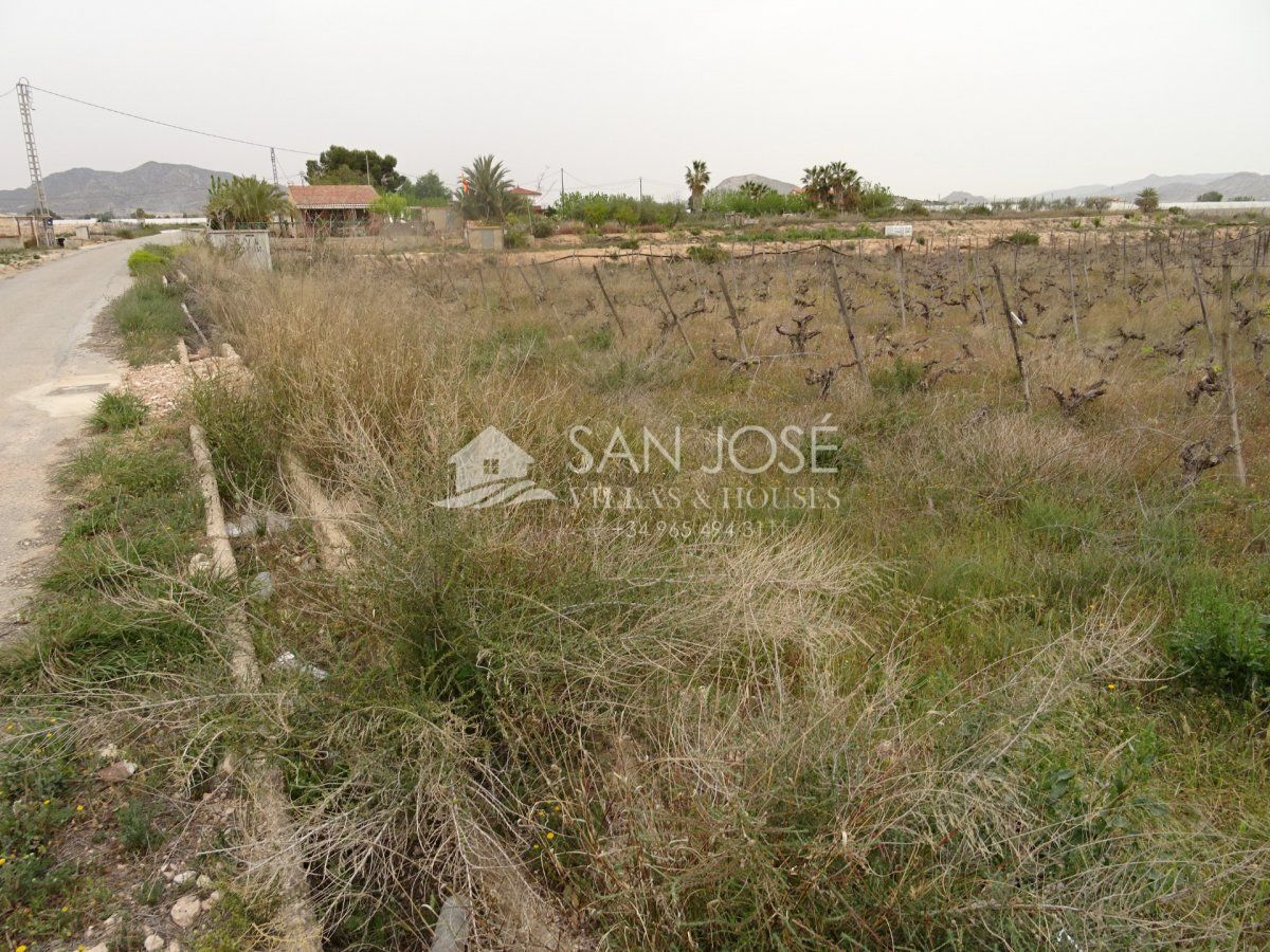 Terrain dans Novelda, Alicante à vendre Plan de site- Image 1 de 9