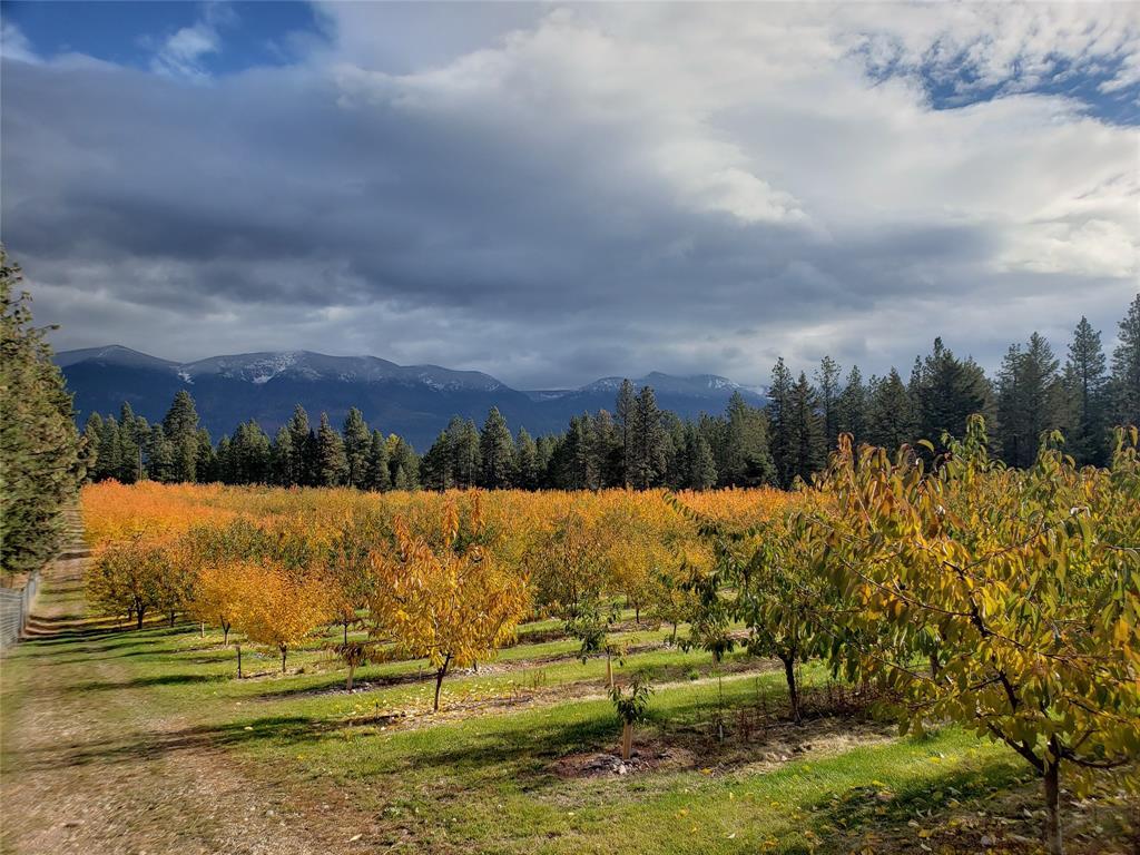 32624 S Finley Point Rd, Polson, MT à vendre Photo principale- Image 1 de 11