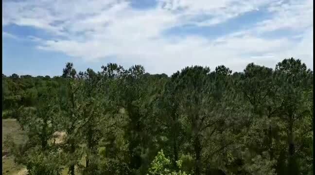 0 Wilmer, Wilmer, AL à vendre - Vidéo sur l’inscription commerciale - Image 2 de 55