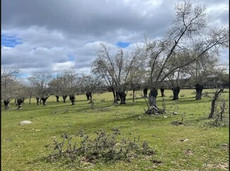 Plus de détails pour Polígono 2 Parcela 4 - Agua de San Martín, Galapagar - Terrain à vendre