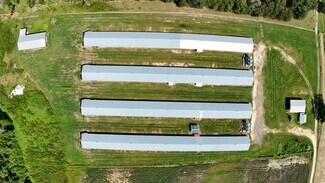 Plus de détails pour 594 Daffodil Ln, Pitts, GA - Terrain à vendre