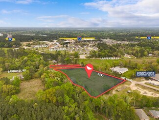 Plus de détails pour 42601 HWY 445, Ponchatoula, LA - Terrain à vendre