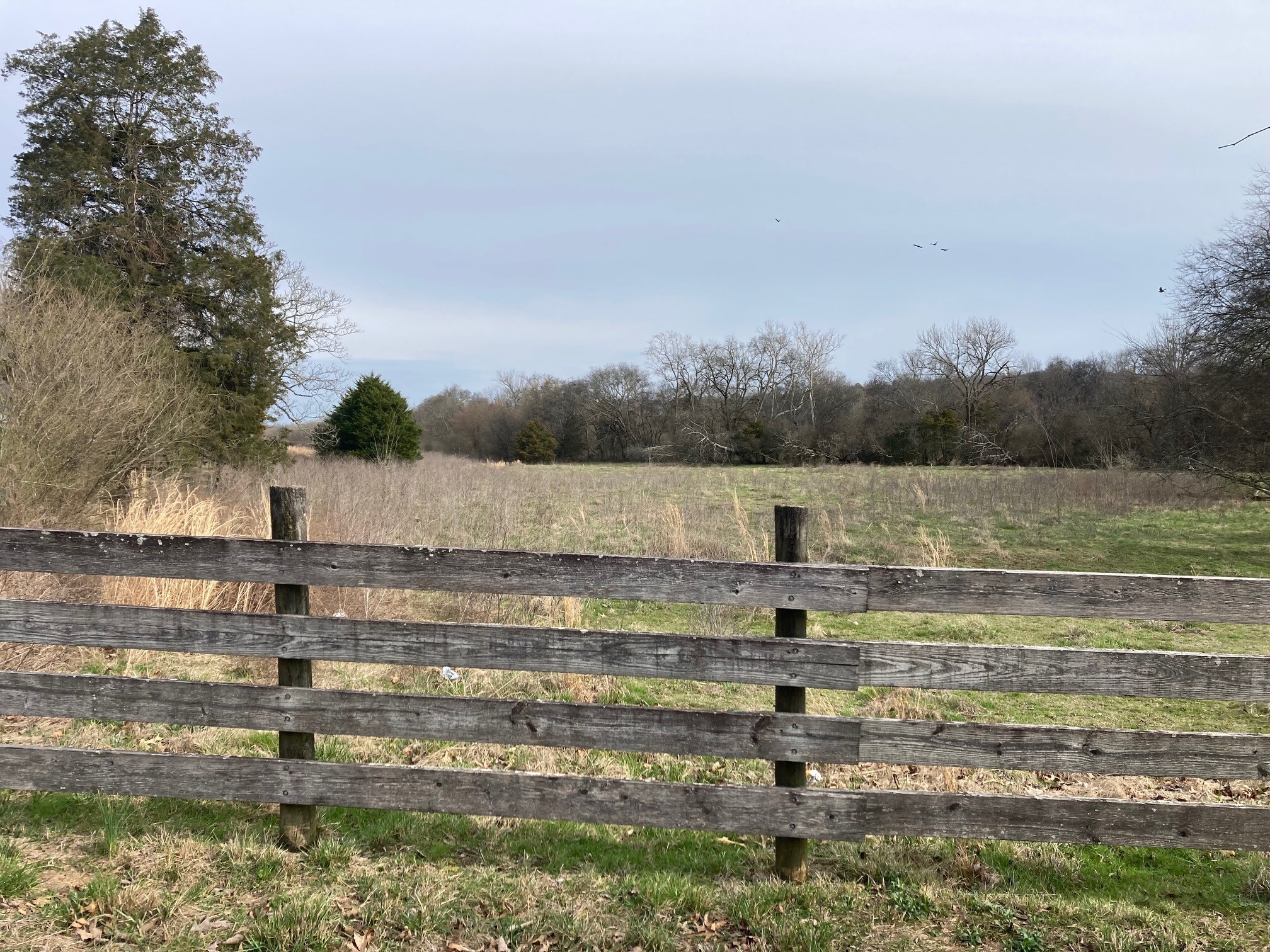 9101 Amos Rd, Ooltewah, TN for sale Primary Photo- Image 1 of 1