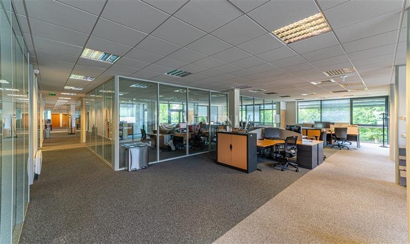 Office in Serris for lease - Interior Photo - Image 3 of 5
