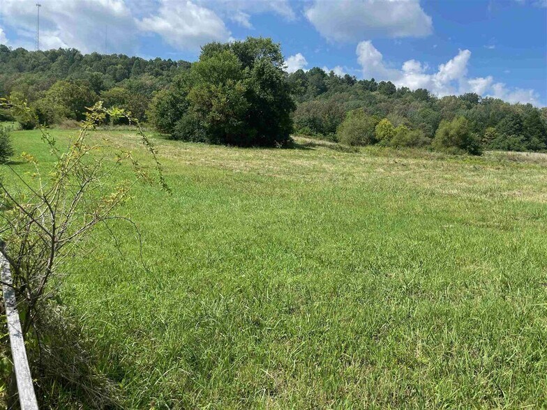 391 Old Dixie Hwy, Horse Cave, KY à louer - Plan cadastral - Image 2 de 3