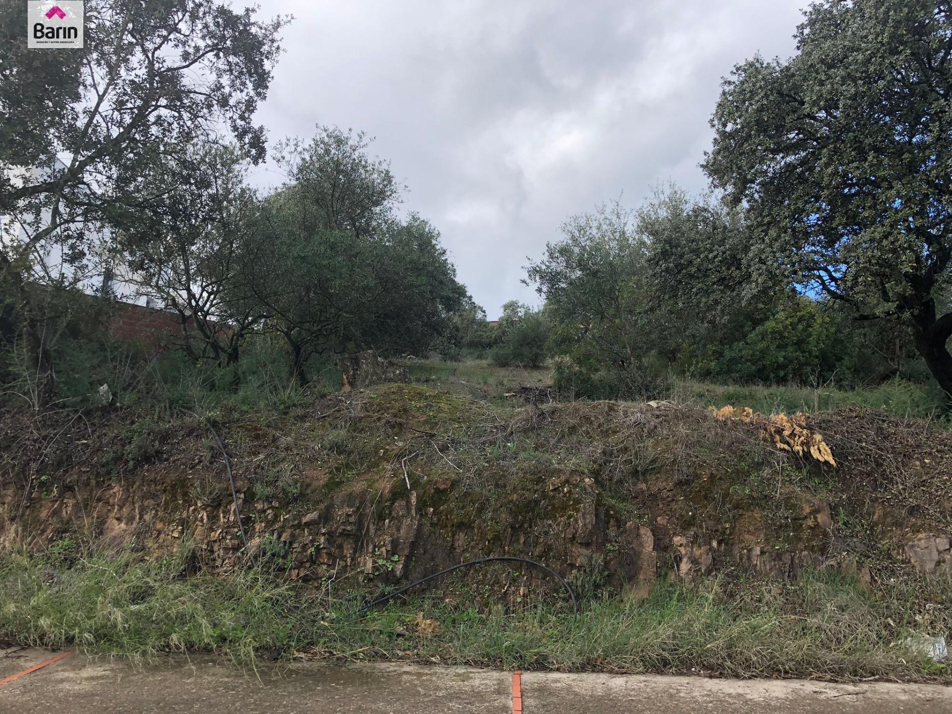 Calle Maestre Escuela, 82, Córdoba, Córdoba for sale Site Plan- Image 1 of 5