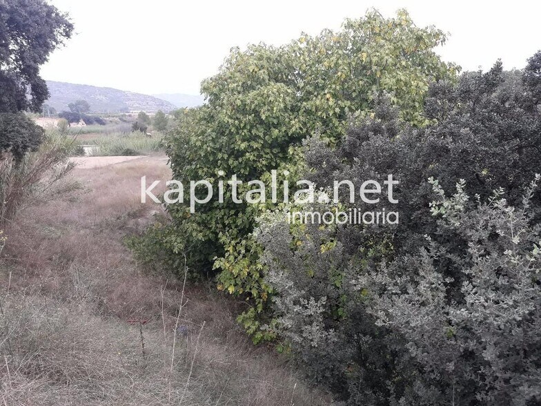 Land in LA, Valencia for sale - Primary Photo - Image 2 of 5