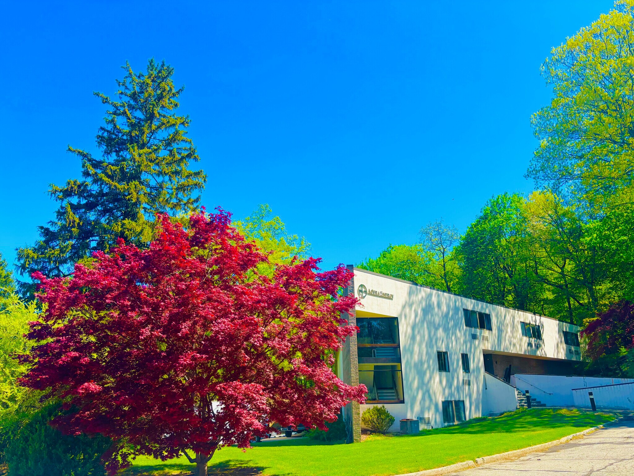 555 Pleasantville Rd, Briarcliff Manor Village, NY à louer Photo du bâtiment- Image 1 de 6