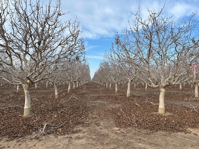 Bassett Ave, Delano, CA for sale - Building Photo - Image 3 of 6