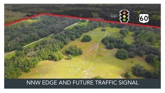 More details for 4145 E State Rd 60, Dover, FL - Land for Sale