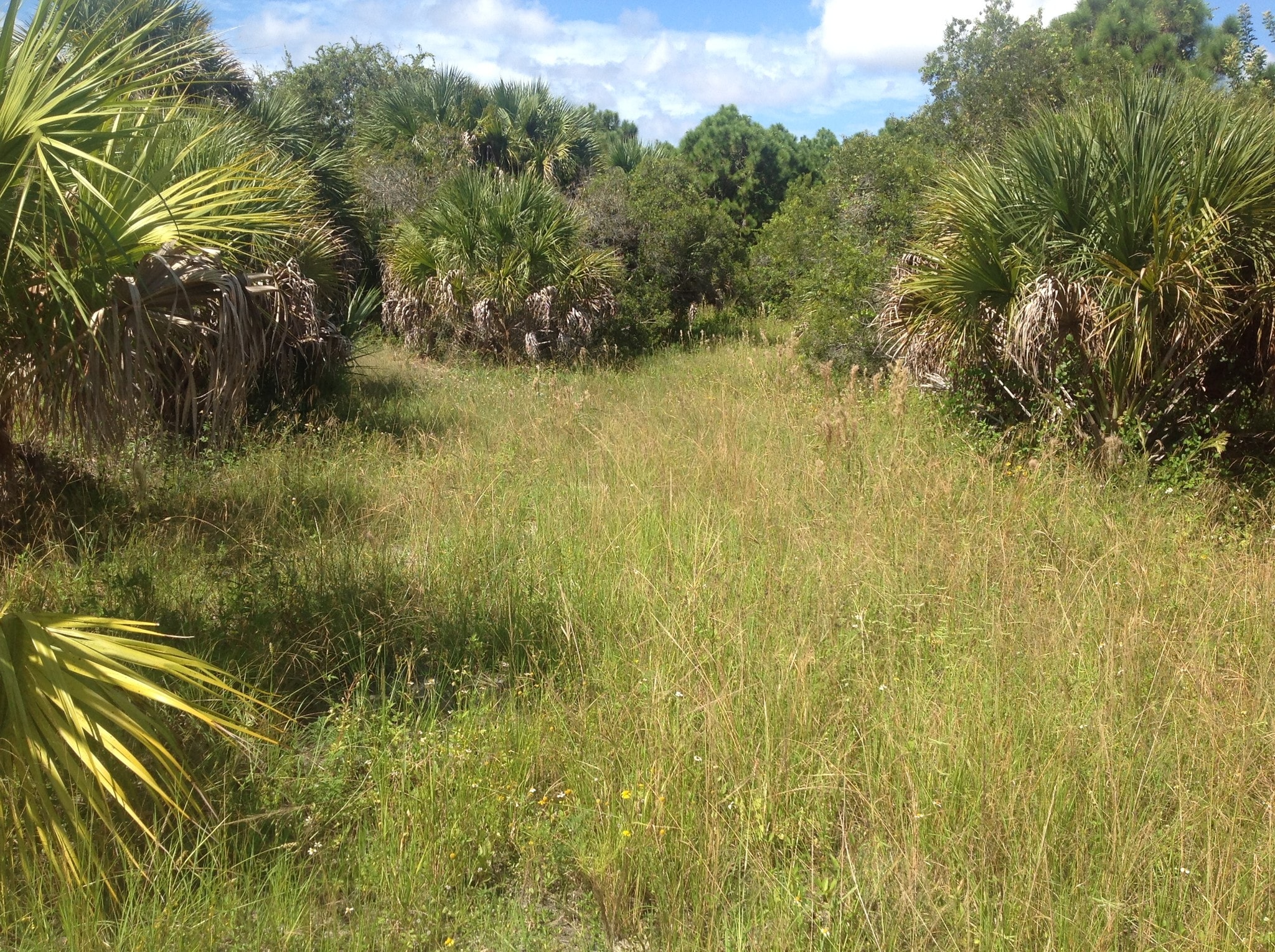 3800-3898 Cape Haze Dr, Placida, FL for sale Primary Photo- Image 1 of 7