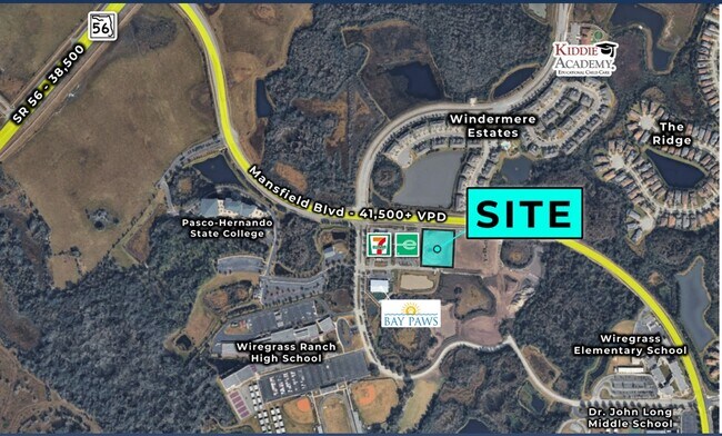 Plus de détails pour 2521 Mansfield Blvd, Wesley Chapel, FL - Commerce de détail à louer