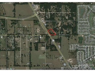 More details for 00 US Highway 441, Summerfield, FL - Land for Sale