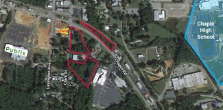 More details for Chapin Rd, Chapin, SC - Land for Sale