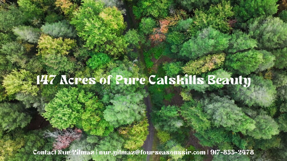 480 Breezy Hill Rd, Parksville, NY à vendre - Vidéo sur l’inscription commerciale - Image 1 de 2