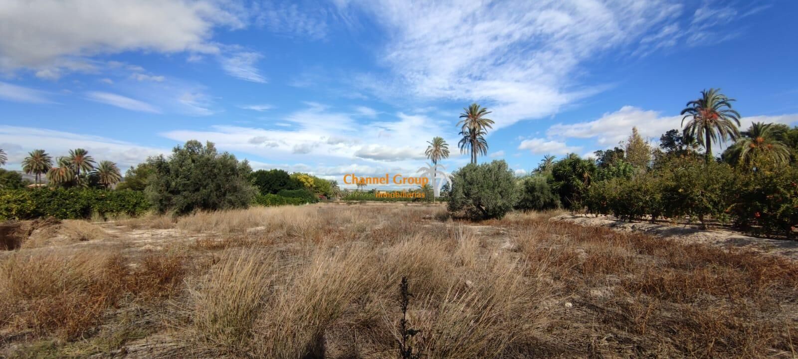 Land in Elche, Alicante for sale Primary Photo- Image 1 of 4