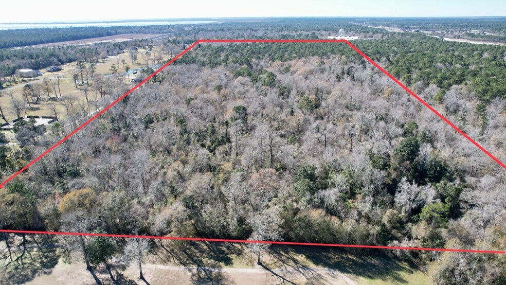 000 Hwy 61, Anahuac, TX à vendre - Aérien - Image 2 de 8