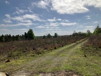 Plus de détails pour 1083 Obrien Point, Lecanto, FL - Terrain à vendre