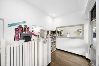 823 Pittwater Rd, Dee Why à louer Photo intérieure- Image 2 de 5