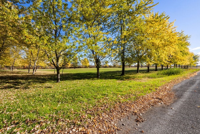 Plus de détails pour 1975 Rte Édouard-VII, Saint-philippe, QC - Terrain à vendre