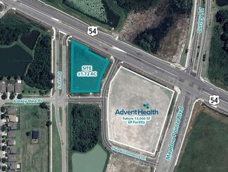 Plus de détails pour 31300 State Road 54, Wesley Chapel, FL - Terrain à vendre