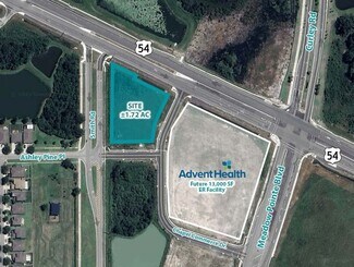 More details for 31300 State Road 54, Wesley Chapel, FL - Land for Sale