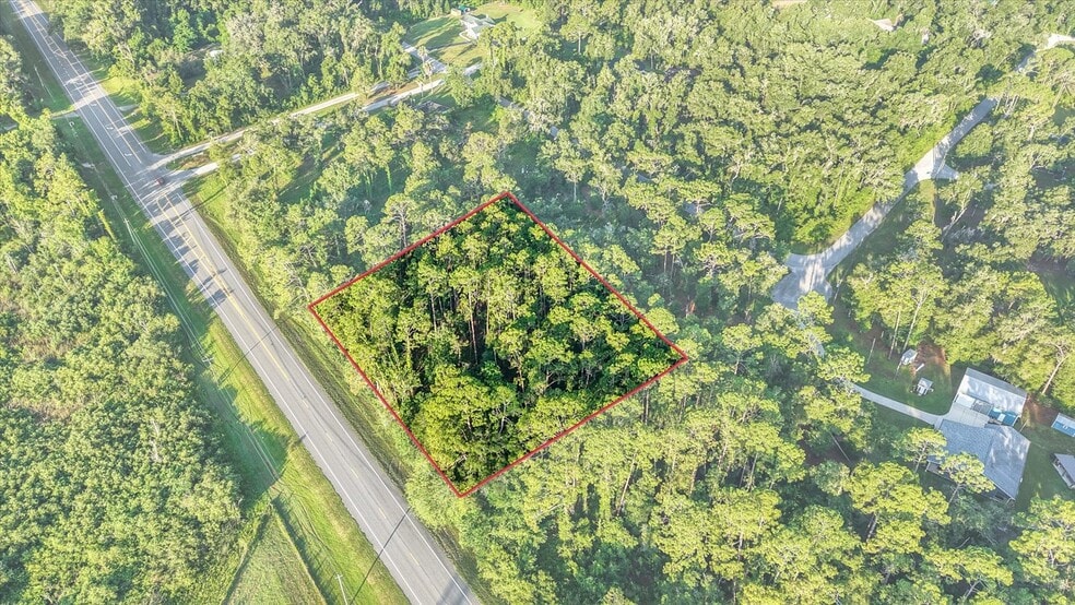 US Hwy 301/Treiman Boulevard Blvd, Webster, FL for sale - Aerial - Image 1 of 19