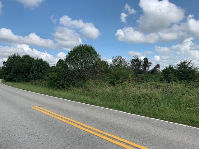 0 Old Newnan Rd, Carrollton, GA à vendre - Autre - Image 2 de 10