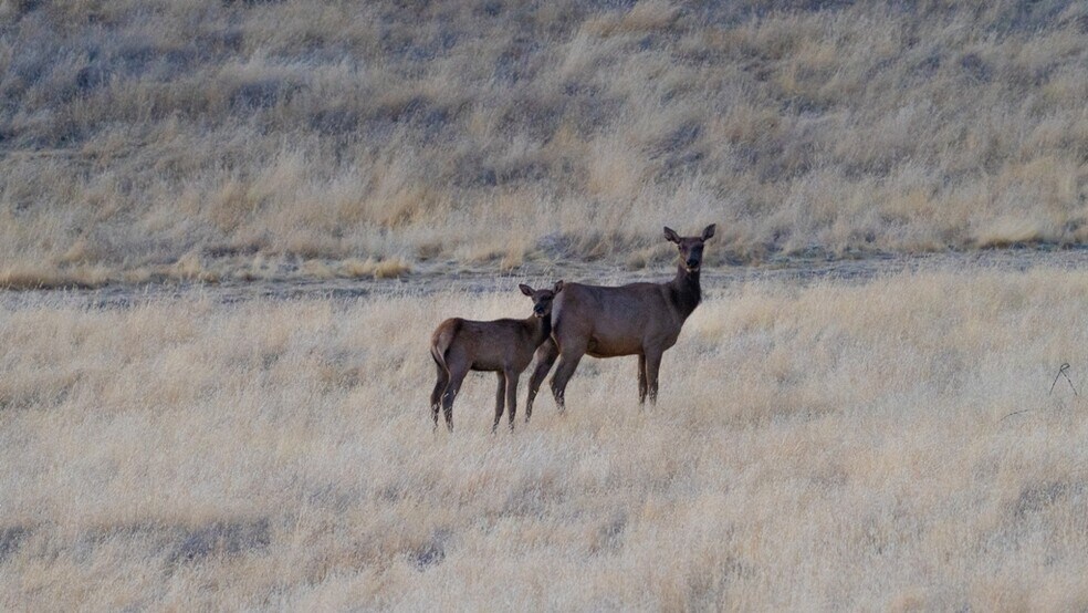 47069 Crump Ln, Coalinga, CA à vendre - Photo du bâtiment - Image 3 de 13