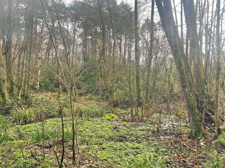 Culmer Lane, Witley à vendre - Photo du bâtiment - Image 2 de 2