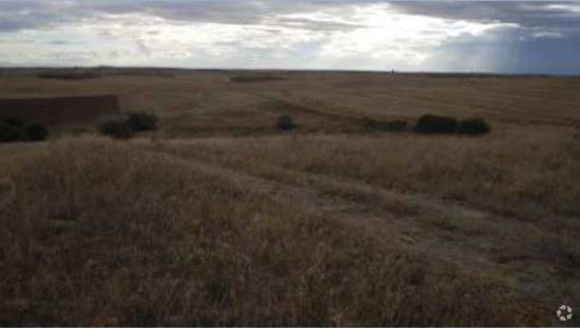 Paraje Carrascosilla, El Viso de San Juan, Toledo à vendre - Photo principale - Image 1 de 1