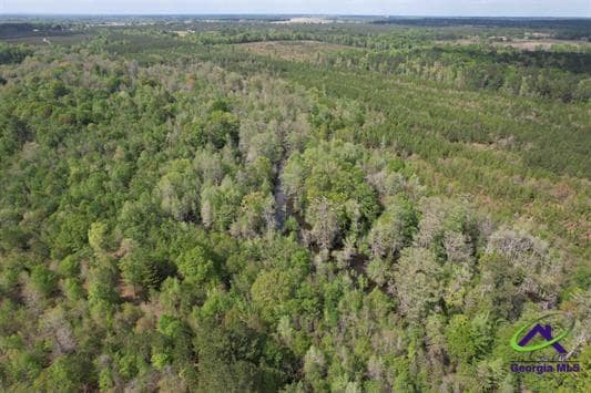 191 Acres Bethel Church Road, Eastman, GA à vendre - Aérien - Image 3 de 20