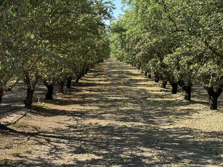1327 Hazeldean rd, Waterford, CA for sale - Other - Image 1 of 17