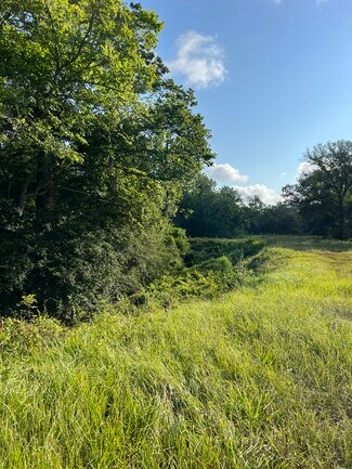 Plus de détails pour County Road 191, Alvin, TX - Terrain à vendre