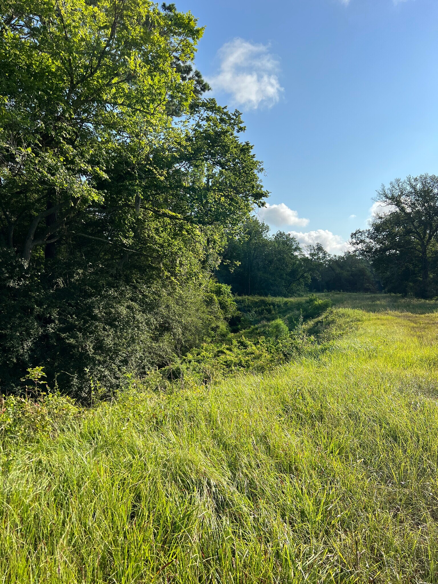 County Road 191, Alvin, TX for sale Primary Photo- Image 1 of 5