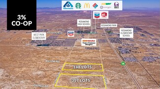 Plus de détails pour 30th W st, Rosamond, CA - Terrain à vendre