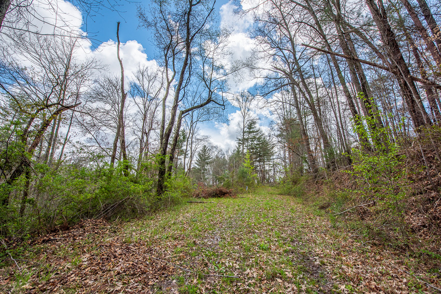 55 Garrison Branch Rd, Weaverville, NC à vendre - Photo du bâtiment - Image 1 de 1