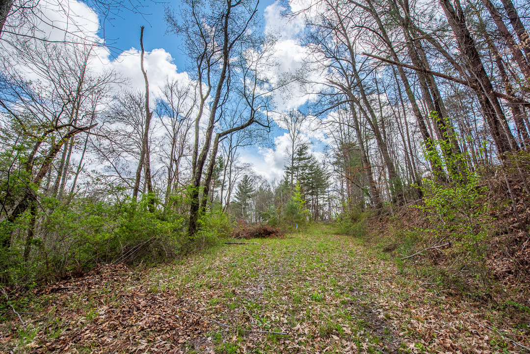 55 Garrison Branch Rd, Weaverville, NC à vendre Photo du bâtiment- Image 1 de 1