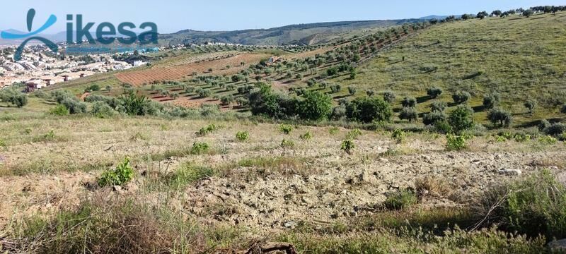 Land in Huétor Vega, Granada for sale Building Photo- Image 1 of 2