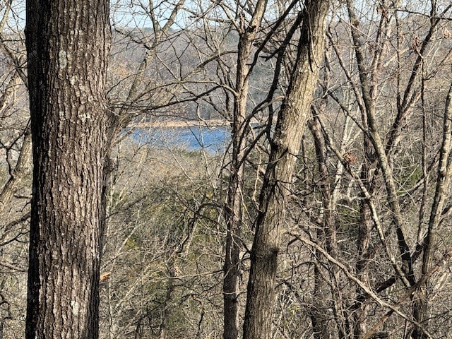 190 Edgewater Dr, Eureka Springs, AR for sale Primary Photo- Image 1 of 57