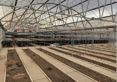 806 N 2nd St, Berthoud, CO for lease Building Photo- Image 1 of 4