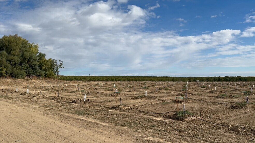 28815 County Road 12A, Esparto, CA à vendre - Vidéo sur l’inscription commerciale - Image 2 de 13