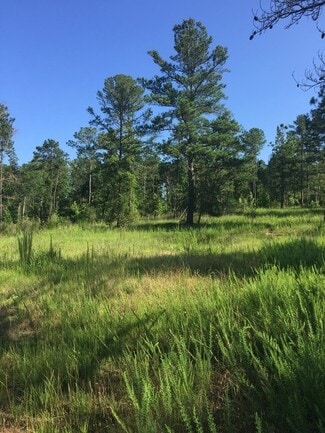 More details for 9139 Veterans Parkway, Fortson, GA - Land for Sale