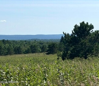 More details for Beech Creek Mountain Rd, Beech Creek, PA - Land for Sale