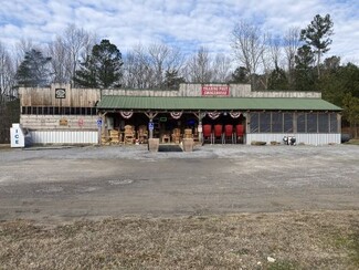 Plus de détails pour 11016 Hwy 157, Rising Fawn, GA - Vente au détail à vendre