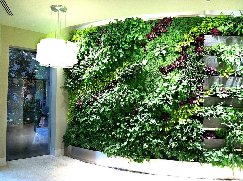 770 Tamalpais Dr, Corte Madera, CA for lease - Interior Photo - Image 2 of 13