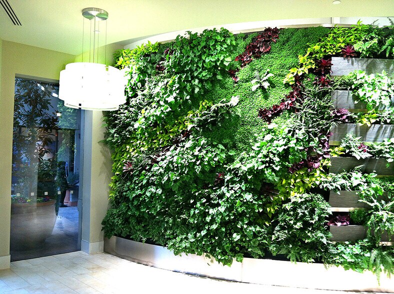 770 Tamalpais Dr, Corte Madera, CA à louer - Photo intérieure - Image 2 de 13