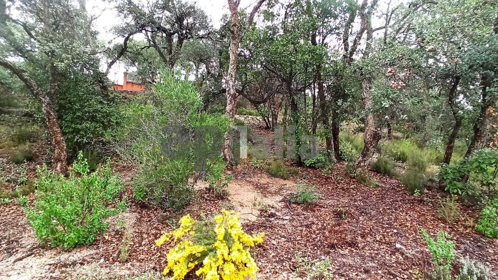 Carrer Avet, 20, Vidreres, Gerona for sale Primary Photo- Image 1 of 7