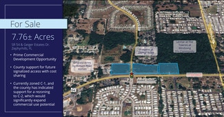 Plus de détails pour SR 54 & Geiger Estates Dr. Hwy, Zephyrhills, FL - Terrain à vendre